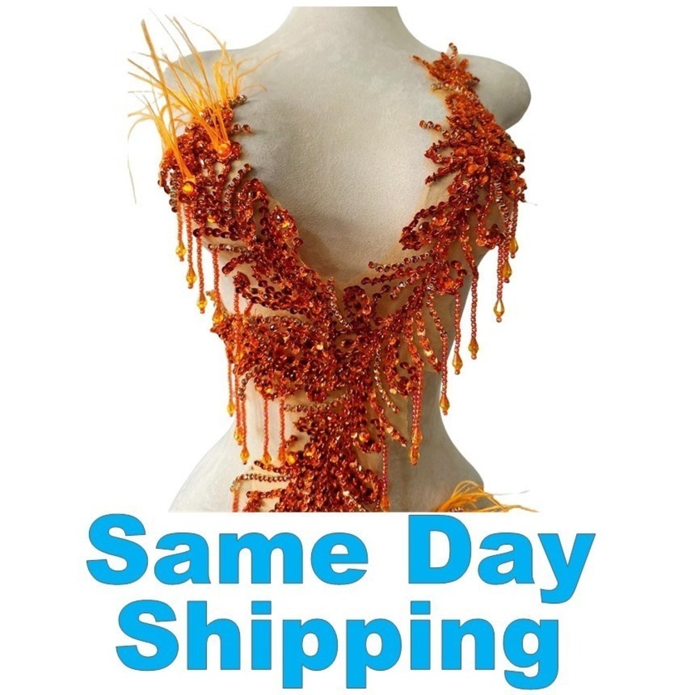 Applique Sew On Rhinestones Beads Crystal Sequins Lace Rust Orange 15"x9"x30" LG